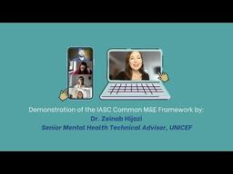 Demonstration of the IASC Common M&E Framework by Zeinab Hijazi